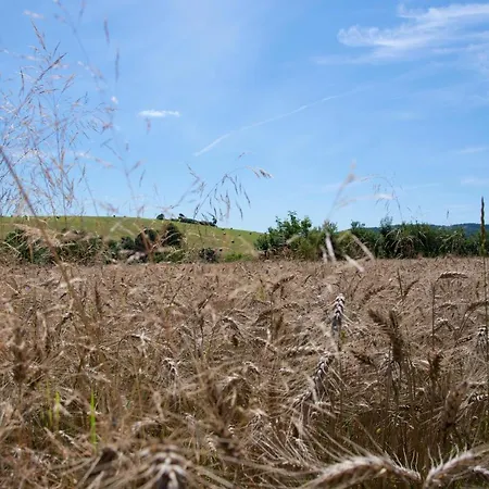 V Prirode Semesterbostad *
