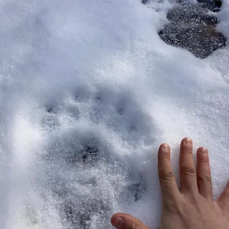 V Prirode 度假居 *