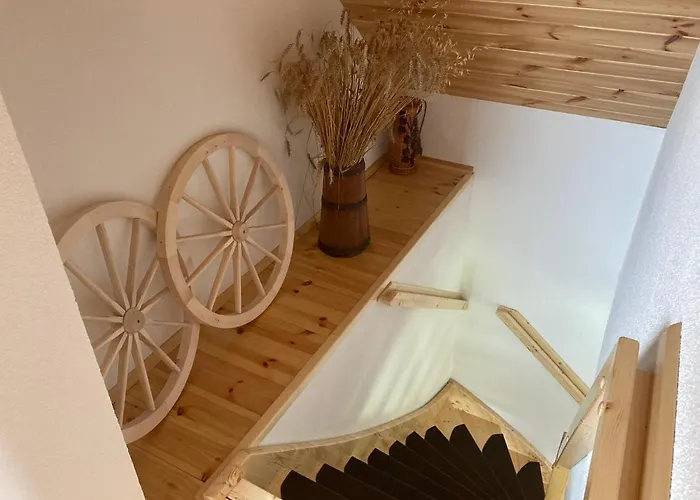 V Prirode * Pliešovce