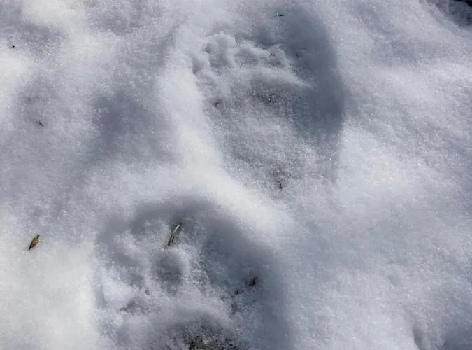 Ferienhaus V Prirode